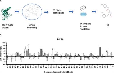 AI-powered discovery of a novel p53-Y220C reactivator